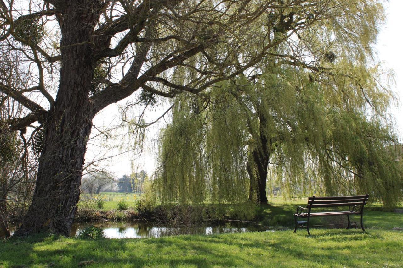 Sassay Les Hirondelles Du Moulin Bed & Breakfast エクステリア 写真