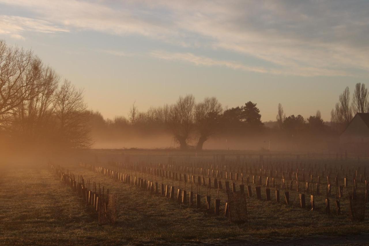 Sassay Les Hirondelles Du Moulin Bed & Breakfast エクステリア 写真