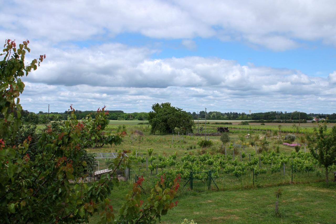 Sassay Les Hirondelles Du Moulin Bed & Breakfast エクステリア 写真