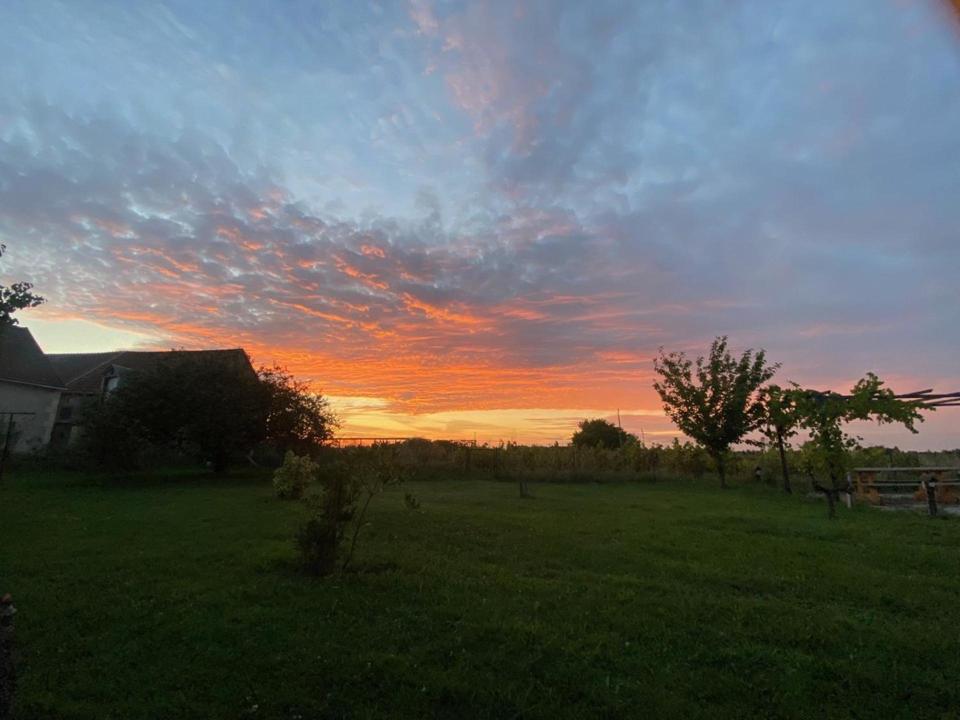 Sassay Les Hirondelles Du Moulin Bed & Breakfast エクステリア 写真