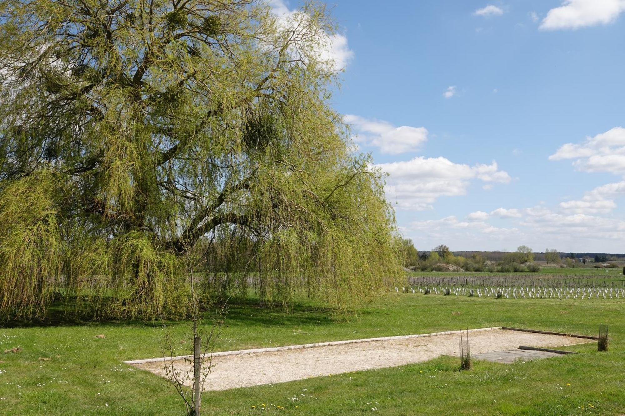 Sassay Les Hirondelles Du Moulin Bed & Breakfast エクステリア 写真