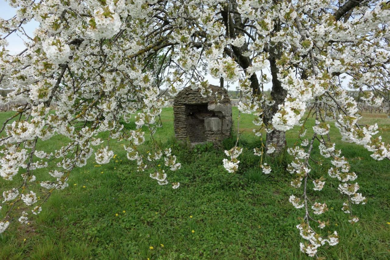 Sassay Les Hirondelles Du Moulin Bed & Breakfast エクステリア 写真